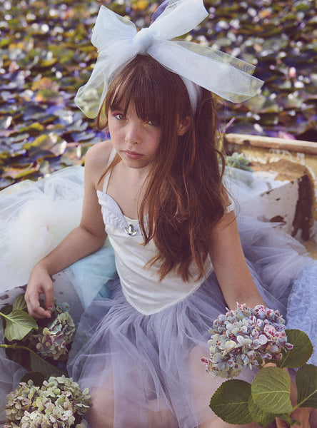 Swan Lake Tutu Dress