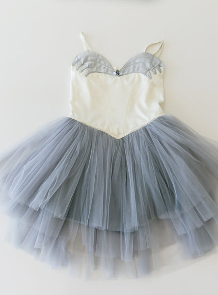 Swan Lake Tutu Dress