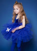 Neve Tutu Dress