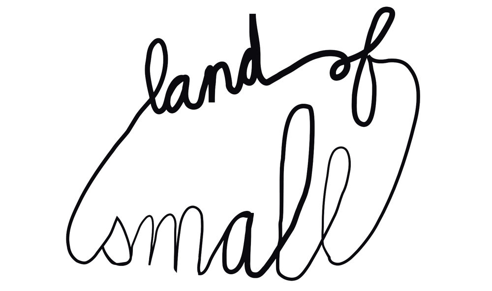 Land of Small logo